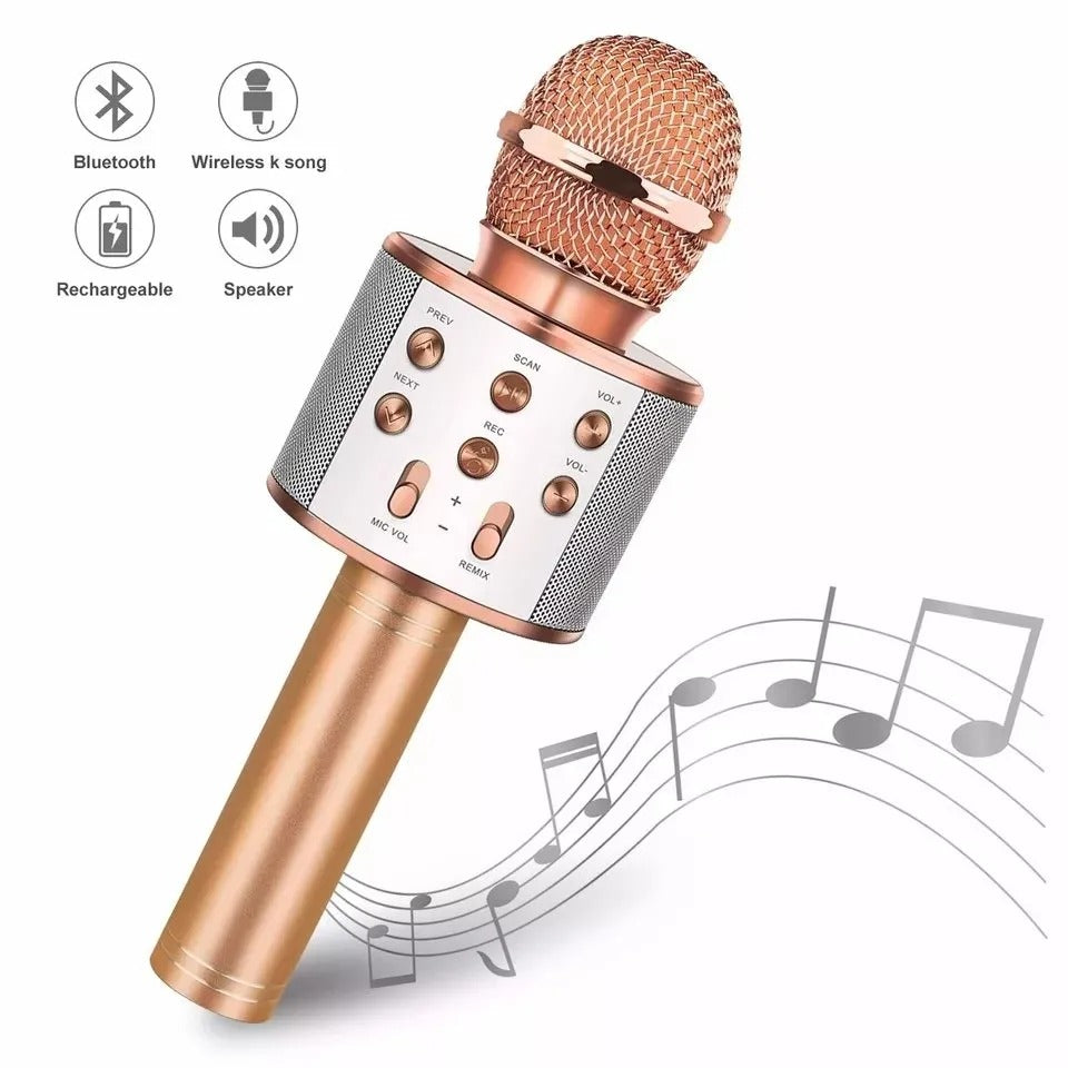WS-858 wireless microphone with packaging and accessories