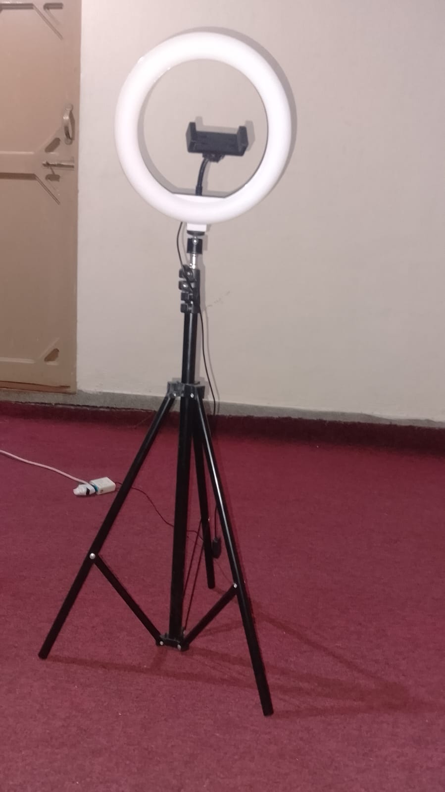 Ring light on 7-foot tripod stand with mobile holder, 3 colour modes