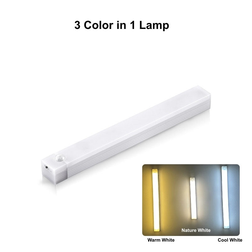 Motion sensor light 3 color modes
